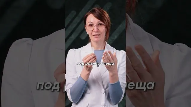Нажми и смотри