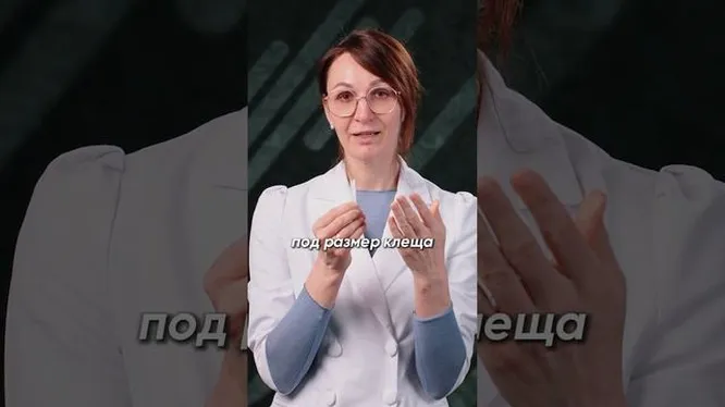 Нажми и смотри