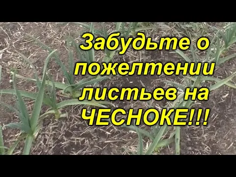 Нажми и смотри