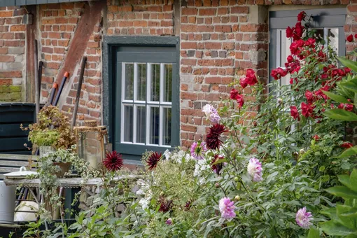 Для дачной клумбы подойдут пионы, астры, флоксы и другие цветы Для дачной клумбы подойдут пионы, астры, флоксы и другие цветы