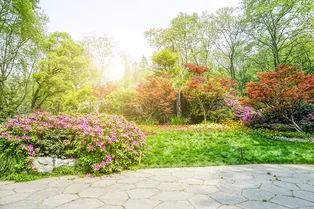 Идеи для озеленения участка у загородного дома своими руками