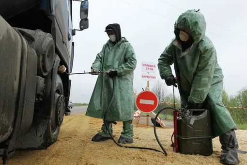 Чума от А до Я: насколько реально заразиться и как этого избежать