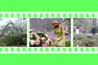 Тест: из какого фильма этот сад-огород? Тест: из какого фильма этот сад-огород?