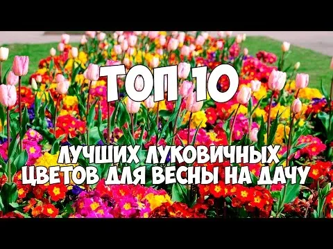 Нажми и смотри