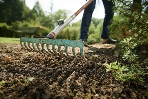 Очистка и рыхление почвы Очистка и рыхление почвы