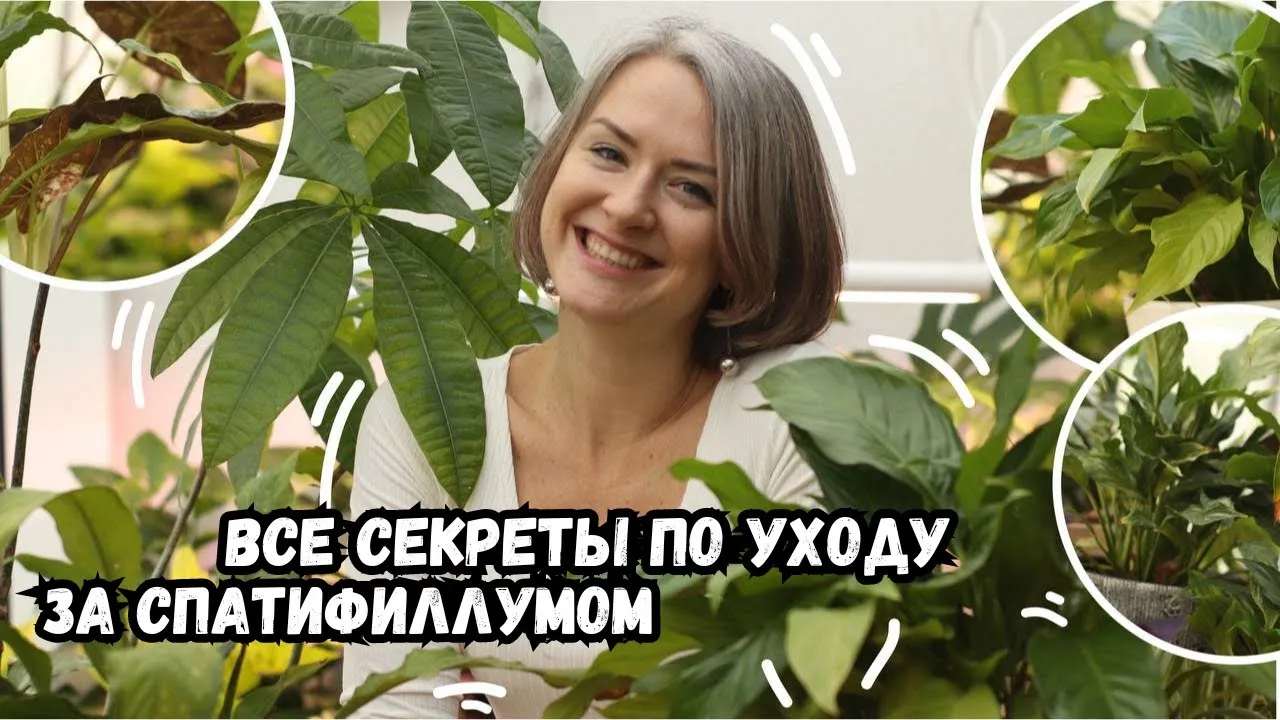 Нажми и смотри Нажми и смотри