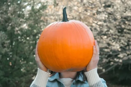 «Ни грамма химикатов!» Россиянка вырастила тыкву-гиганта «Ни грамма химикатов!» Россиянка вырастила тыкву-гиганта