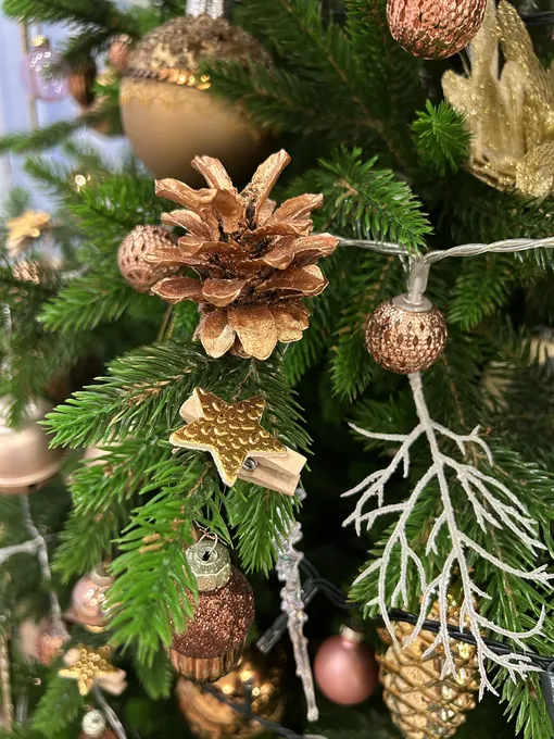 шишки на елке шишки на елке