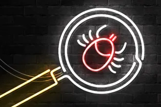 Что делать, если укусил клещ: 9 важных правил