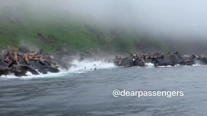 Нажми и смотри