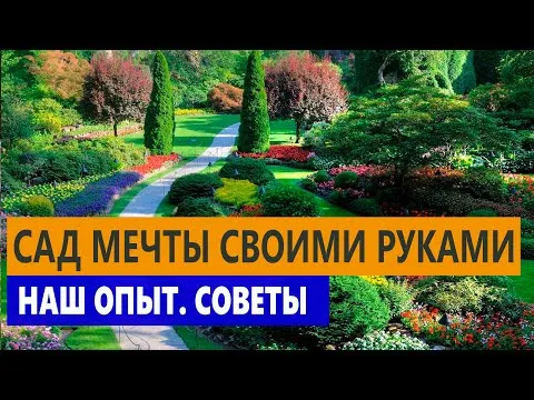 Нажми и смотри