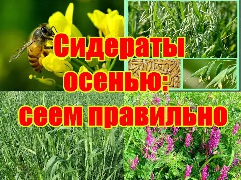 Нажми и смотри
