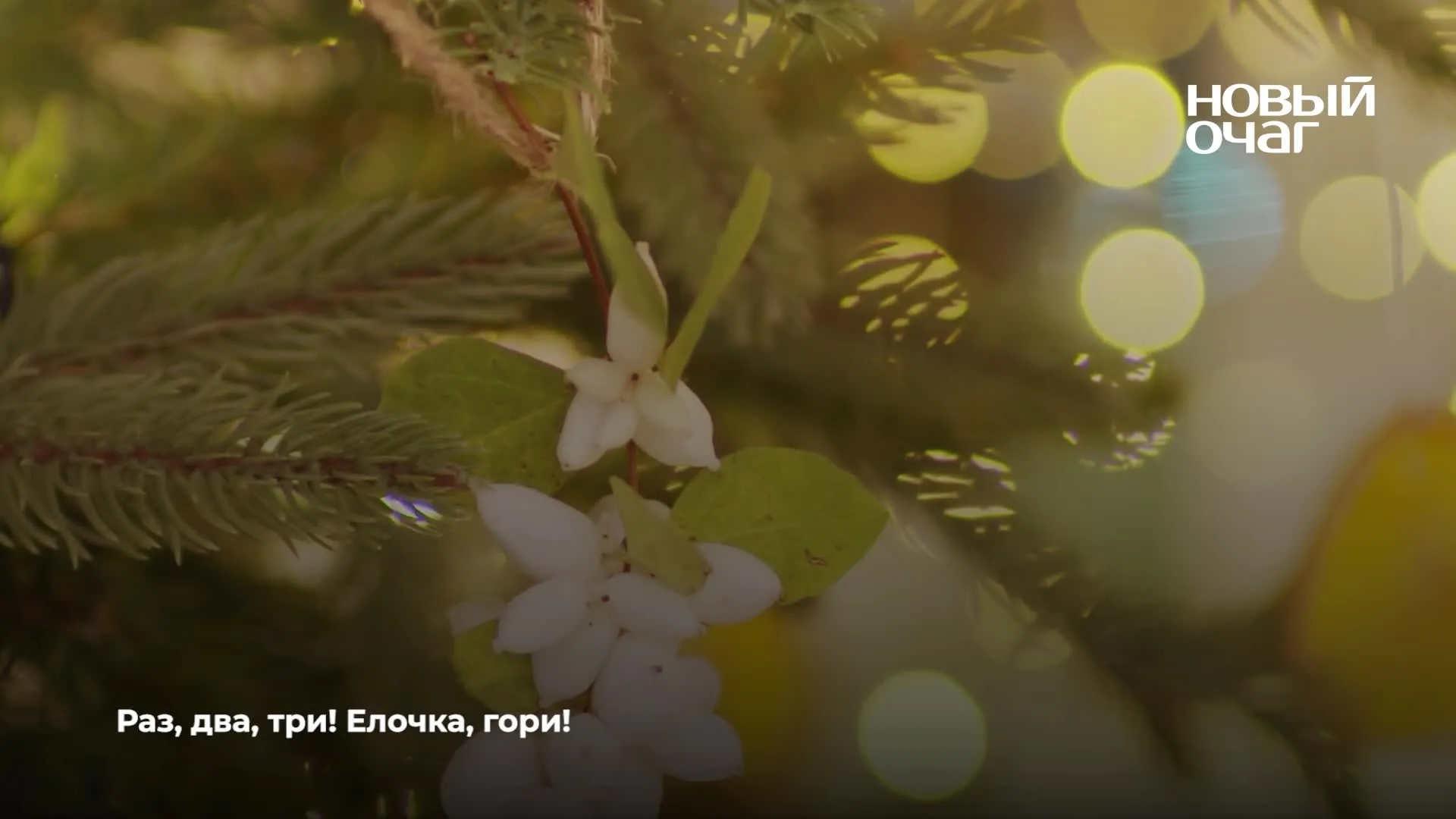 Нажми и смотри Нажми и смотри