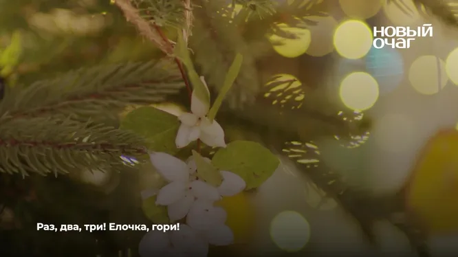 Нажми и смотри Нажми и смотри