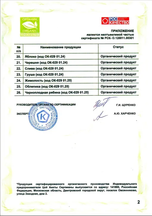 Сертификат Аниты Цой Сертификат Аниты Цой