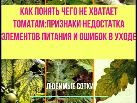 Нажми и смотри