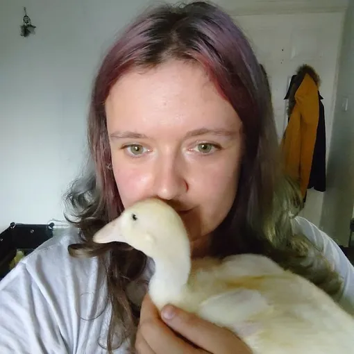 женщина и утка женщина и утка