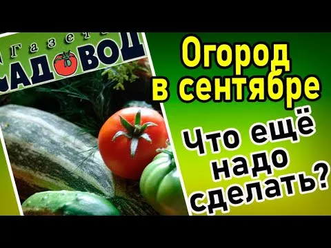 Нажми и смотри