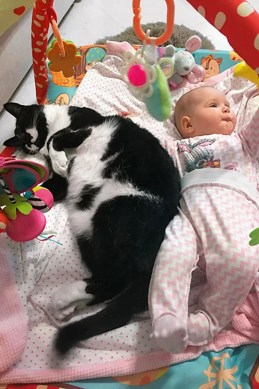 Кабачок и Тася Кабачок и Тася