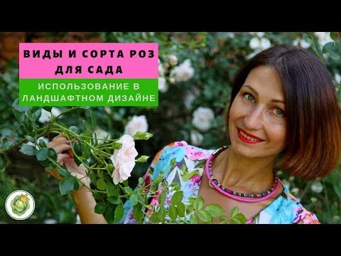 Нажми и смотри