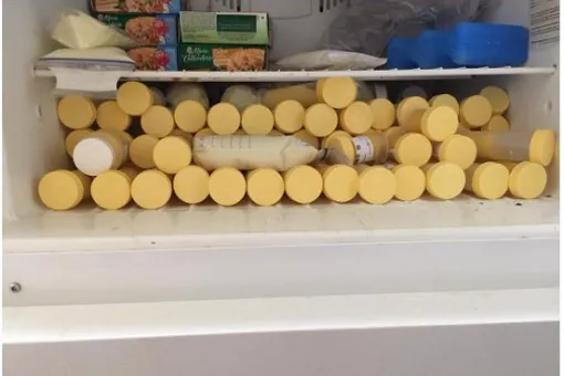 После смерти новорожденного сына она отдала другим детям больше своего молока, чем весила сама После смерти новорожденного сына она отдала другим детям больше своего молока, чем весила сама