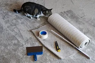 Не только в ванной: 5 мест в доме, где нельзя стелить ковровое покрытие