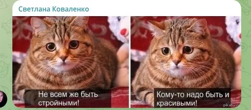 Комментарий пользователя Сети Комментарий пользователя Сети