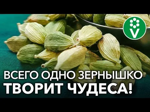 Нажми и смотри