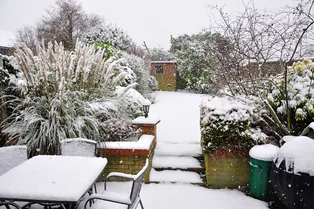 Как с пользой провести новогодние каникулы на даче: 7 важных дел на участке Как с пользой провести новогодние каникулы на даче: 7 важных дел на участке