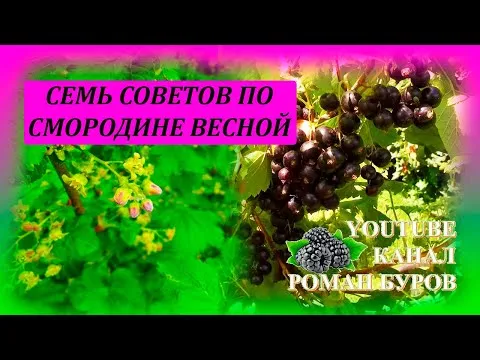 Нажми и смотри