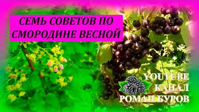 Нажми и смотри