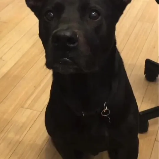 Нажми и смотри