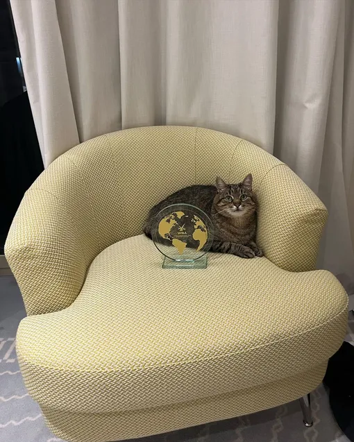 Кот Степан Кот Степан