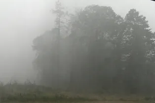 Ливни в Москве: прольётся около ведра воды на квадратный метр улиц