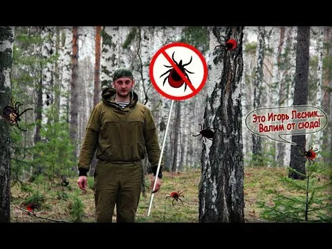 Нажми и смотри Нажми и смотри