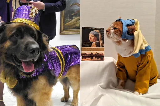 Я поведу тебя в музей: в Москве начали обустраивать пет-зоны для домашних животных