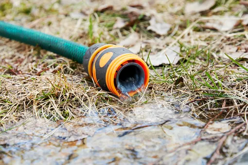 Когда уже поздно: сроки проведения полива