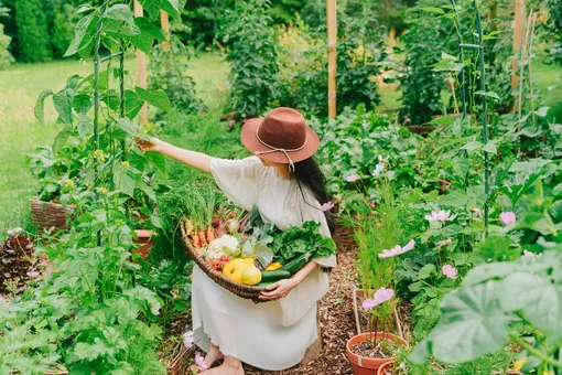 Не сеять и не сажать! Лунный посевной календарь садовода и огородника с 16 по 22 июня 2025 года Не сеять и не сажать! Лунный посевной календарь садовода и огородника с 16 по 22 июня 2025 года