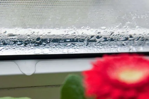 В доме сыро, хотя грибка нет? Это может быть ещё хуже В доме сыро, хотя грибка нет? Это может быть ещё хуже