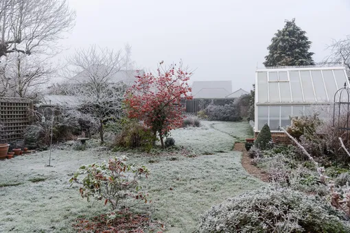 Какая погода будет на майские 2026 прогноз