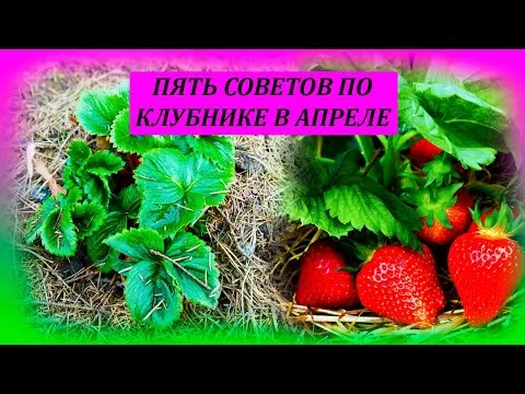Нажми и смотри