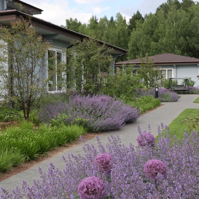 Меньше газонов, светильников и хвойных растений: ландшафтный архитектор о глобальных садовых трендах