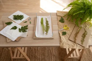 Тянет на природу? Как повторить биофильный интерьер у себя дома: 7 советов от дизайнера Тянет на природу? Как повторить биофильный интерьер у себя дома: 7 советов от дизайнера