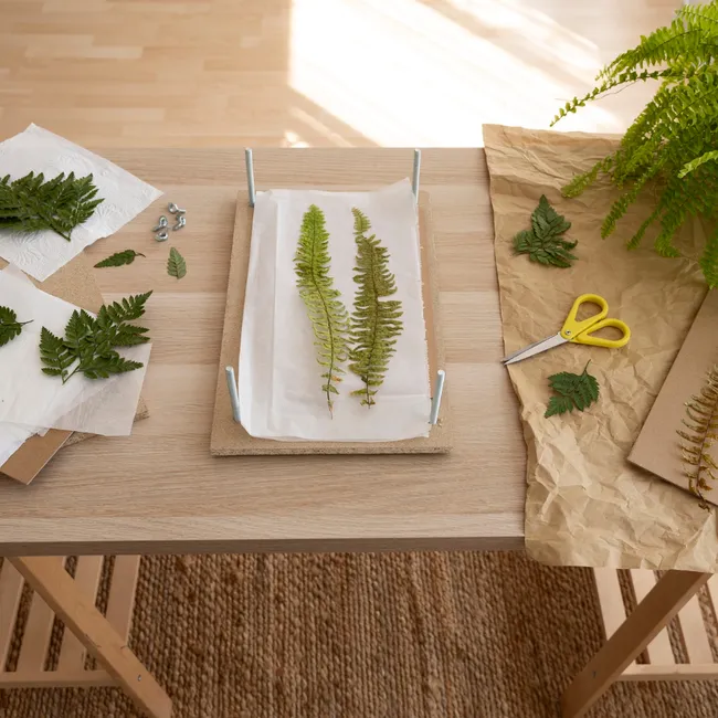 Тянет на природу? Как повторить биофильный интерьер у себя дома: 7 советов от дизайнера