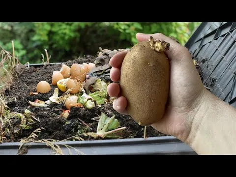 Нажми и смотри