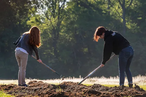 Школьников хотят заставить мыть классы и стричь газоны в обязательном порядке Школьников хотят заставить мыть классы и стричь газоны в обязательном порядке