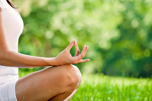 Журнал Новый очаг приглашает всех на «Экофестиваль» в Новом Книжном!