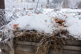 Накрывать или нет компостную яму на зиму? Накрывать или нет компостную яму на зиму?
