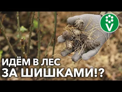 Нажми и смотри