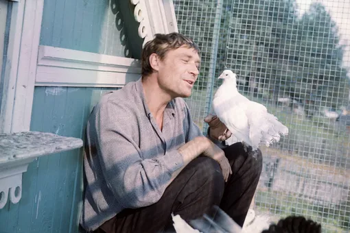 Любовь и голуби: дочь Александра Михайлова вышла замуж в необычном месте Любовь и голуби: дочь Александра Михайлова вышла замуж в необычном месте